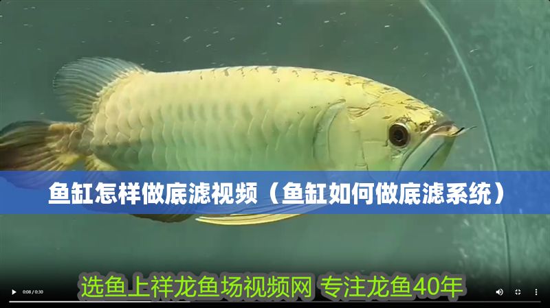 魚缸怎樣做底濾視頻（魚缸如何做底濾系統(tǒng)）