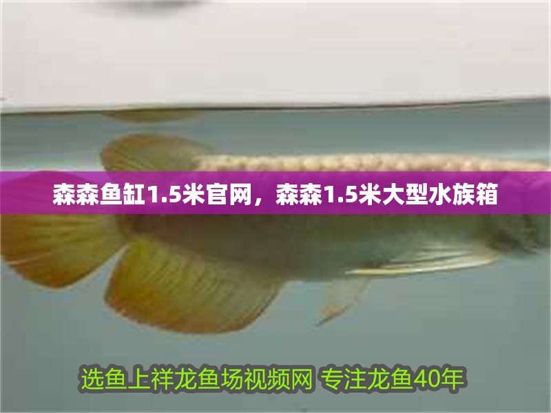 森森魚缸1.5米官網，森森1.5米大型水族箱