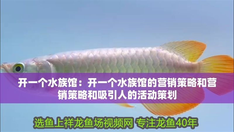 開一個(gè)水族館：開一個(gè)水族館的營(yíng)銷策略和營(yíng)銷策略和吸引人的活動(dòng)策劃