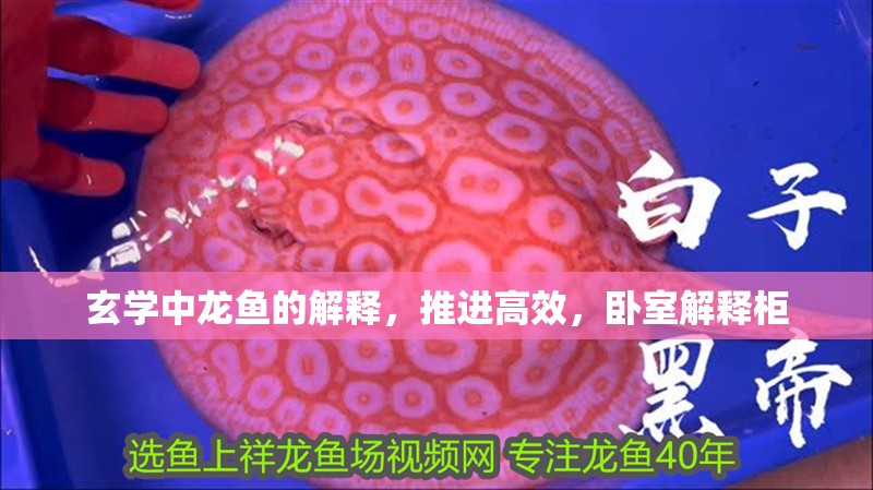 玄學中龍魚的解釋，推進高效，臥室解釋柜