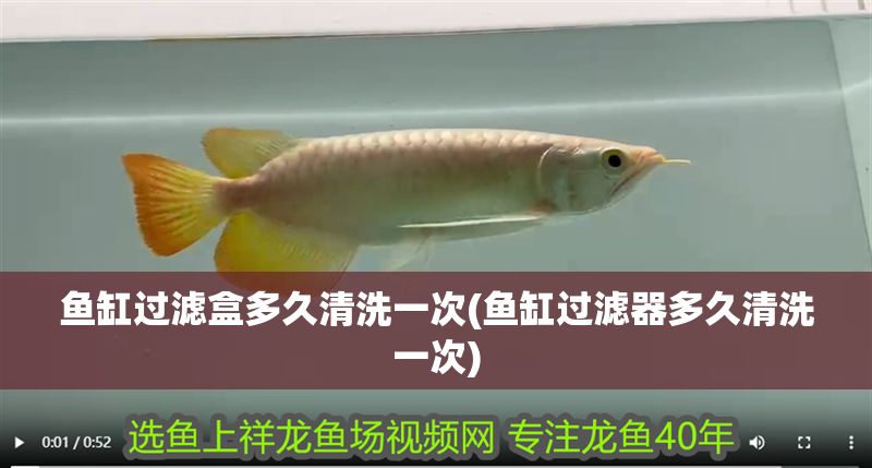 魚缸過濾盒多久清洗一次(魚缸過濾器多久清洗一次)