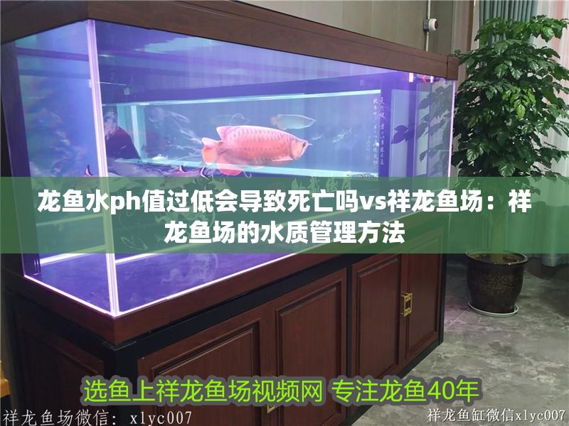 龍魚水ph值過低會導致死亡嗎vs祥龍魚場：祥龍魚場的水質管理方法