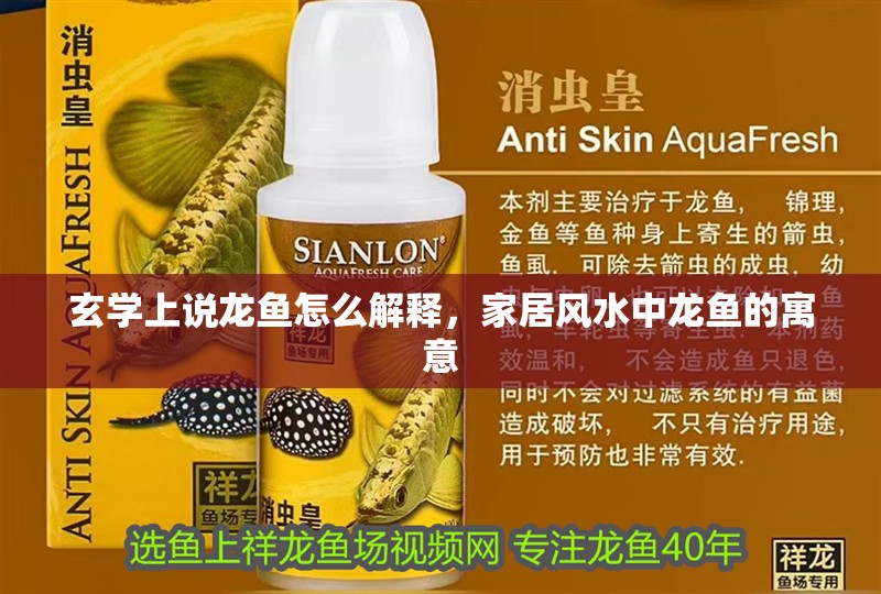 玄學(xué)上說(shuō)龍魚怎么解釋，家居風(fēng)水中龍魚的寓意