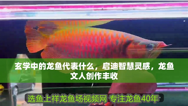玄學(xué)中的龍魚代表什么，啟迪智慧靈感，龍魚文人創(chuàng)作豐收