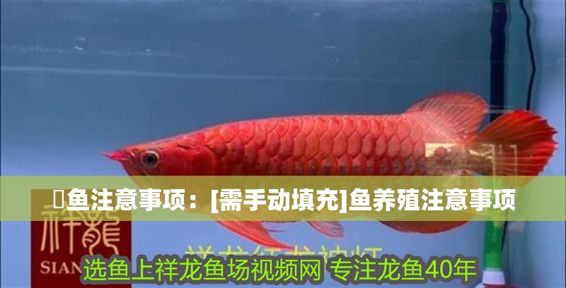 魟魚注意事項：[需手動填充]魚養(yǎng)殖注意事項