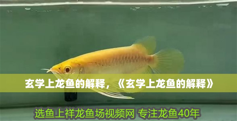 玄學上龍魚的解釋，《玄學上龍魚的解釋》