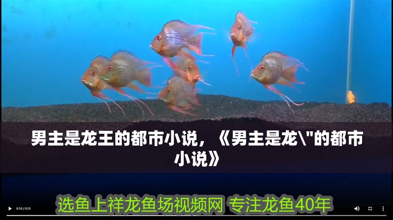 男主是龍王的都市小說，《男主是龍\
