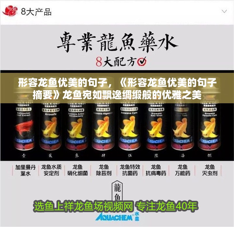 形容龍魚優美的句子，《形容龍魚優美的句子摘要》龍魚宛如飄逸綢緞般的優雅之美