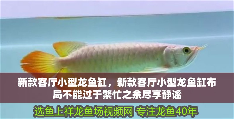 新款客廳小型龍魚缸，新款客廳小型龍魚缸布局不能過(guò)于繁忙之余盡享靜謐