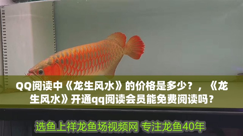 QQ閱讀中《龍生風水》的價格是多少？，《龍生風水》開通qq閱讀會員能免費閱讀嗎？
