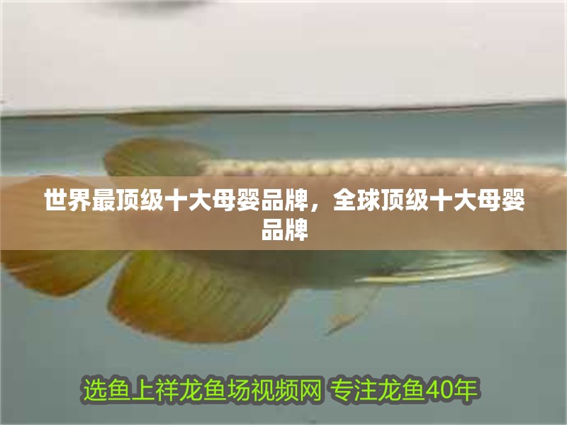 世界最頂級十大母嬰品牌，全球頂級十大母嬰品牌