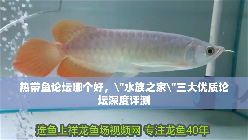 熱帶魚(yú)論壇哪個(gè)好，\