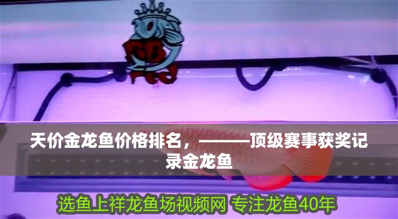 天價金龍魚價格排名，———頂級賽事獲獎記錄金龍魚
