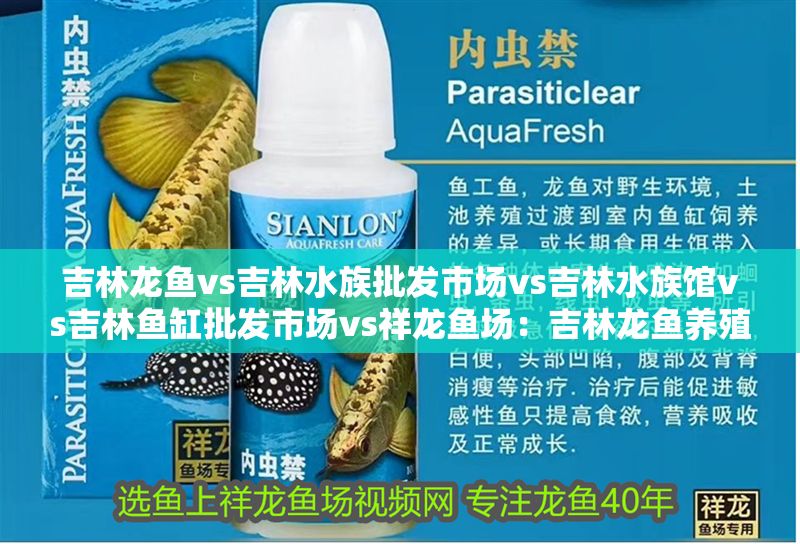 吉林龍魚vs吉林水族批發市場vs吉林水族館vs吉林魚缸批發市場vs祥龍魚場：吉林龍魚養殖業及其相關市場的發展