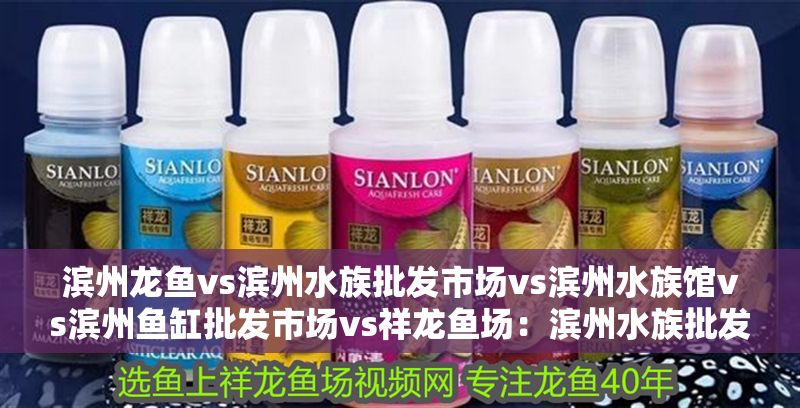 濱州龍魚vs濱州水族批發市場vs濱州水族館vs濱州魚缸批發市場vs祥龍魚場：濱州水族批發市場