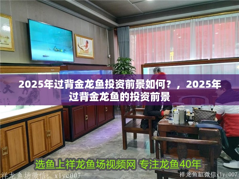 2025年過背金龍魚投資前景如何？，2025年過背金龍魚的投資前景