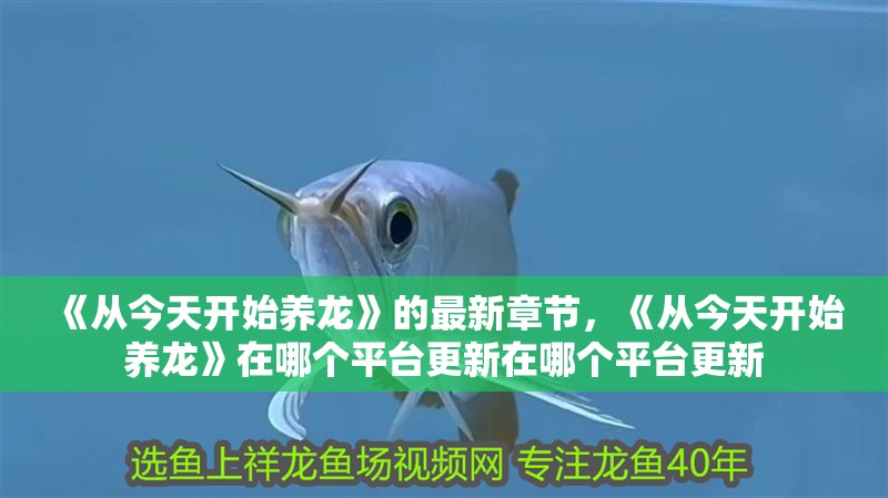 《從今天開始養龍》的最新章節，《從今天開始養龍》在哪個平臺更新在哪個平臺更新