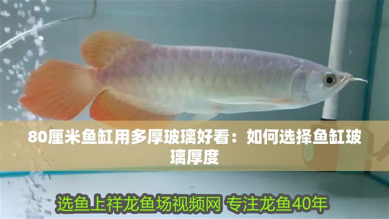 80厘米魚缸用多厚玻璃好看：如何選擇魚缸玻璃厚度