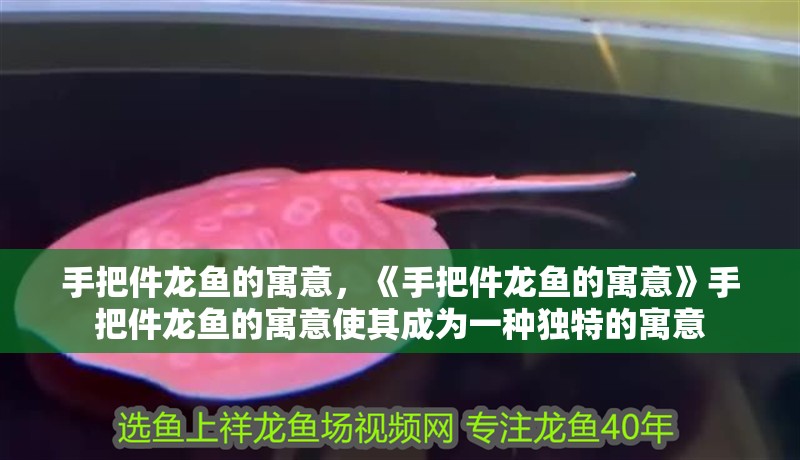 手把件龍魚的寓意，《手把件龍魚的寓意》手把件龍魚的寓意使其成為一種獨特的寓意