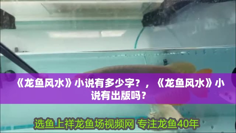 《龍魚風(fēng)水》小說有多少字？，《龍魚風(fēng)水》小說有出版嗎？