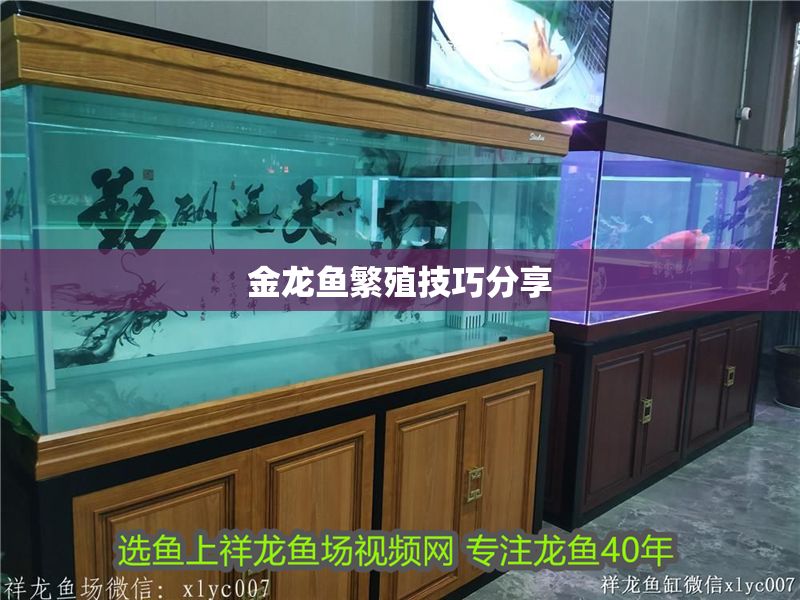金龍魚繁殖技巧分享