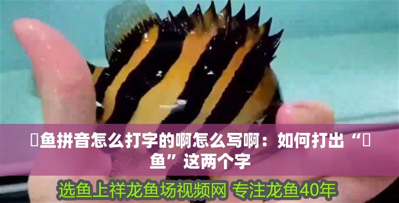 魟魚拼音怎么打字的啊怎么寫啊：如何打出“魟魚”這兩個(gè)字 魟魚拼音怎么打字的啊怎么寫啊：如何打出“魟魚”這兩個(gè)字 魟魚百科 第2張