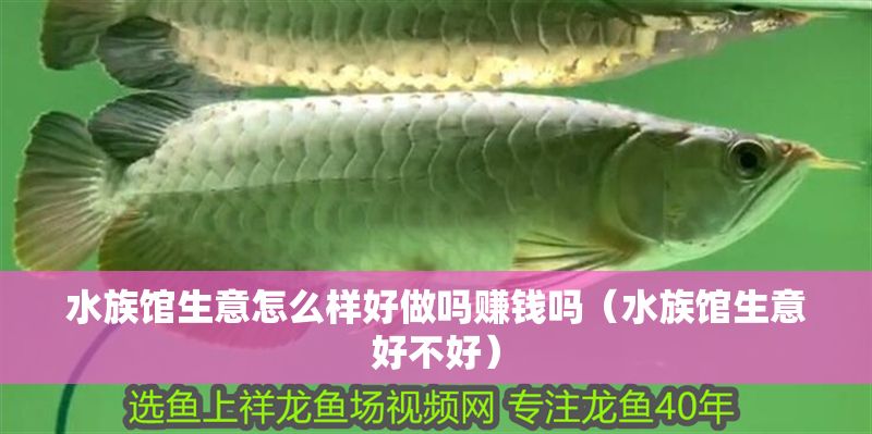 水族館生意怎么樣好做嗎賺錢(qián)嗎（水族館生意好不好）