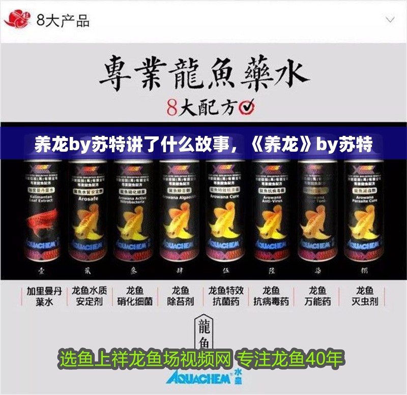 養龍by蘇特講了什么故事，《養龍》by蘇特