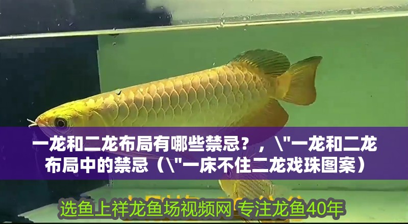 一龍和二龍布局有哪些禁忌？，\