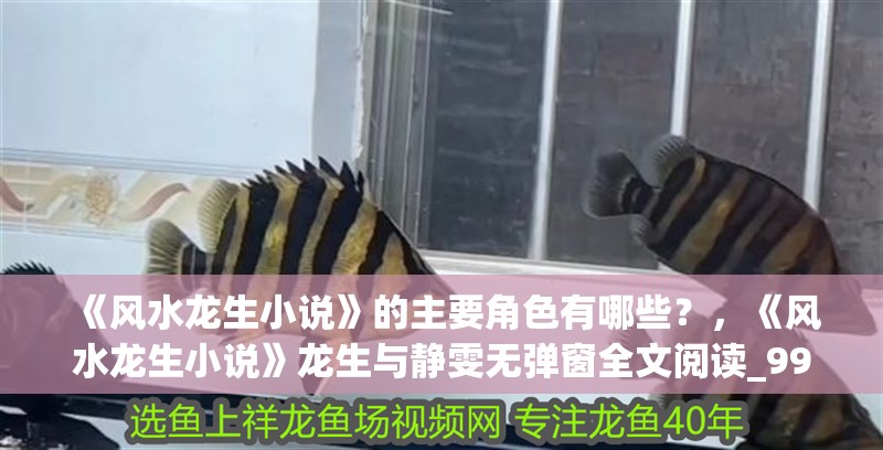 《風(fēng)水龍生小說(shuō)》的主要角色有哪些？，《風(fēng)水龍生小說(shuō)》龍生與靜雯無(wú)彈窗全文閱讀_999