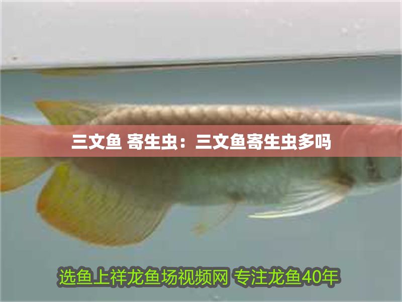 三文魚 寄生蟲：三文魚寄生蟲多嗎