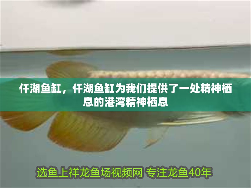 仟湖魚缸，仟湖魚缸為我們提供了一處精神棲息的港灣精神棲息 仟湖魚缸，仟湖魚缸為我們提供了一處精神棲息的港灣精神棲息 龍魚論壇