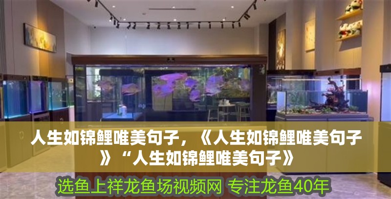 人生如錦鯉唯美句子，《人生如錦鯉唯美句子》“人生如錦鯉唯美句子》