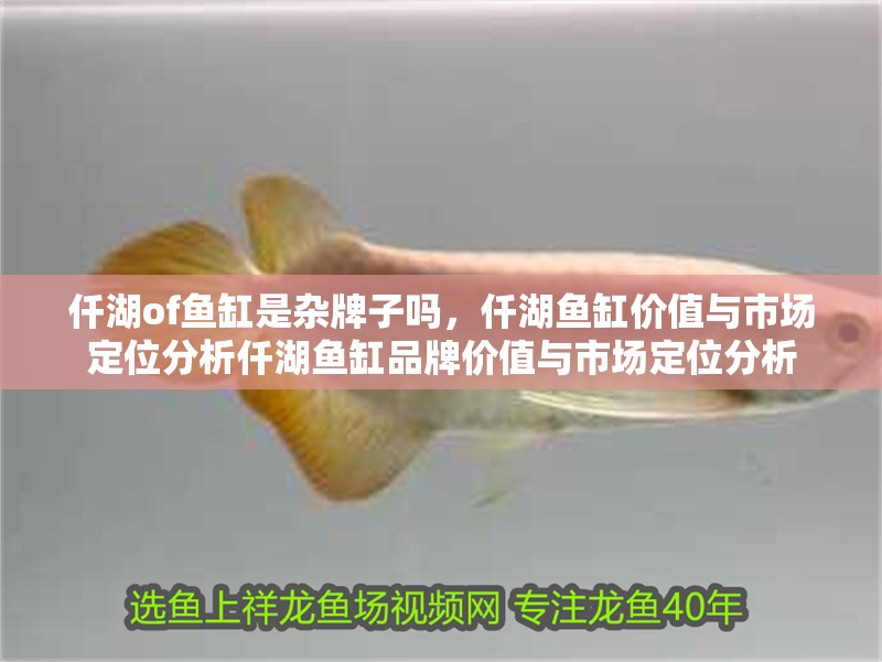 仟湖of魚缸是雜牌子嗎，仟湖魚缸價(jià)值與市場(chǎng)定位分析仟湖魚缸品牌價(jià)值與市場(chǎng)定位分析