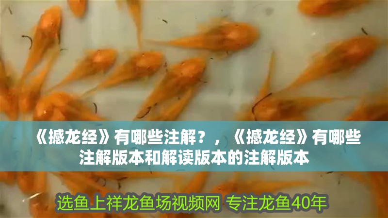 《撼龍經》有哪些注解？，《撼龍經》有哪些注解版本和解讀版本的注解版本