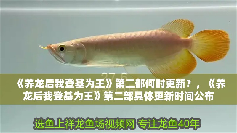 《養龍后我登基為王》第二部何時更新？，《養龍后我登基為王》第二部具體更新時間公布