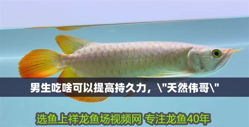 男生吃啥可以提高持久力，\