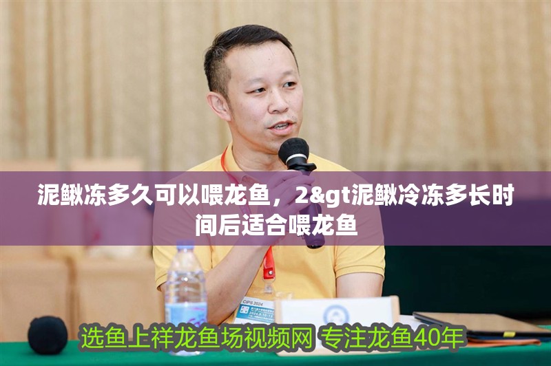 魚缸過濾器選購指南:自制魚缸過濾器魚缸上置過濾器對于養魚愛好者的必備知識 泥鰍凍多久可以喂龍魚,2>泥鰍冷凍多長時間后適合喂龍魚 水族問答 泥鰍凍多久可以喂龍魚,2>泥鰍冷凍多長時間后適合喂龍魚 泥鰍凍多久可以喂龍魚,2>泥鰍冷凍多長時間后適合喂龍魚 水族問答