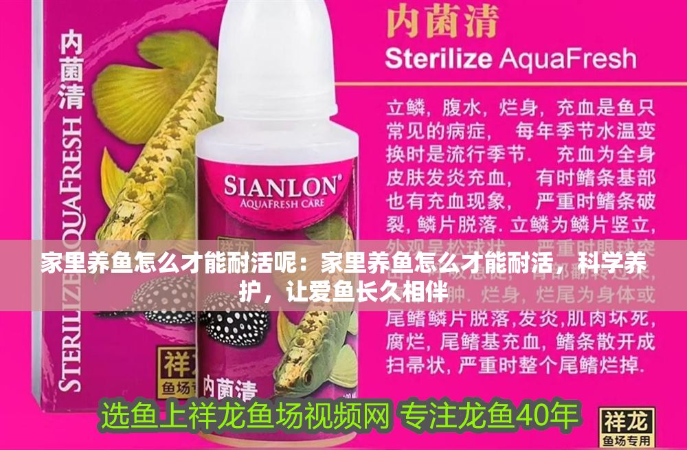家里養魚怎么才能耐活呢：家里養魚怎么才能耐活，科學養護，讓愛魚長久相伴