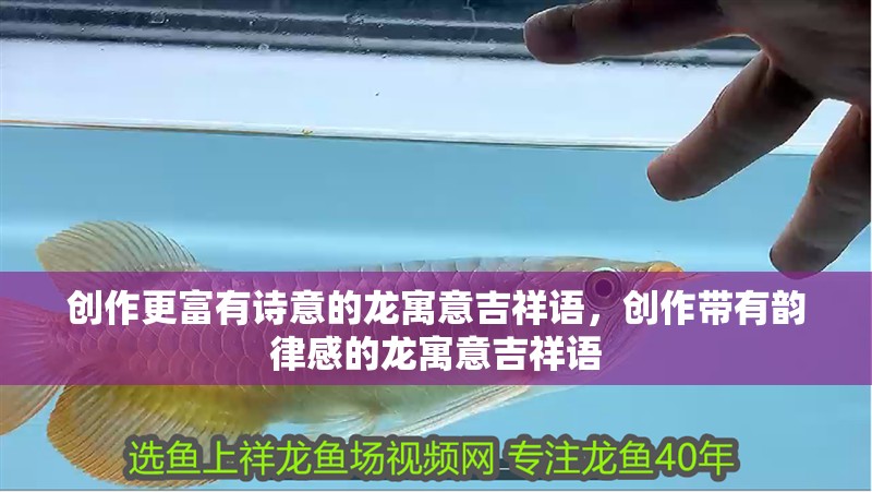 創作更富有詩意的龍寓意吉祥語，創作帶有韻律感的龍寓意吉祥語