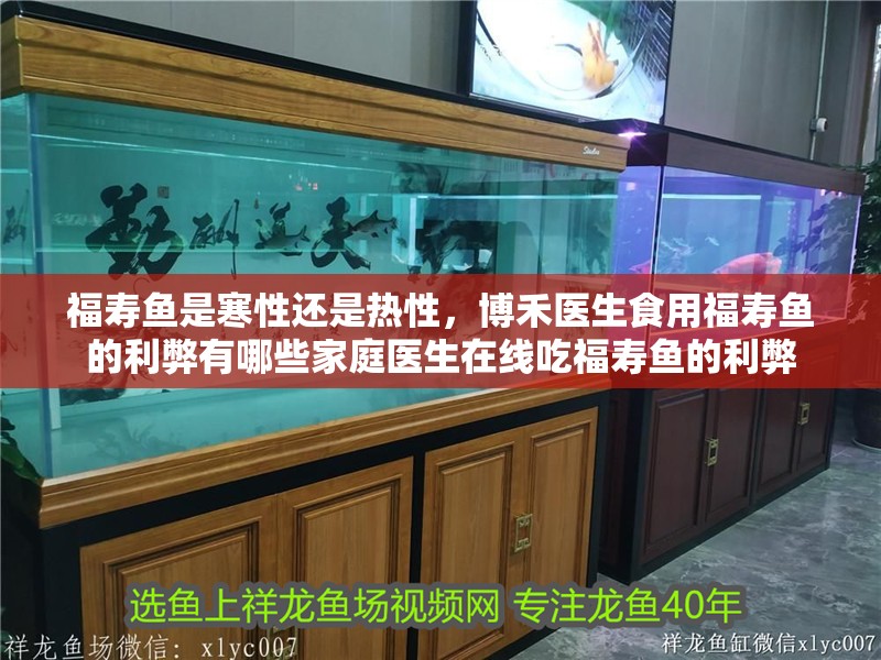福壽魚是寒性還是熱性，博禾醫生食用福壽魚的利弊有哪些家庭醫生在線吃福壽魚的利弊