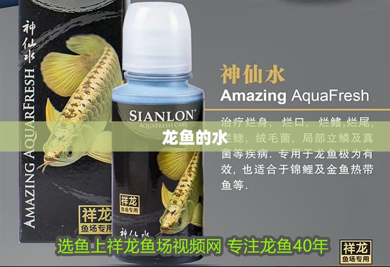 龍魚的水