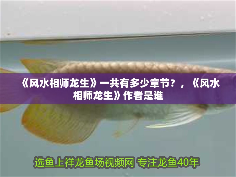 《風水相師龍生》一共有多少章節？，《風水相師龍生》作者是誰
