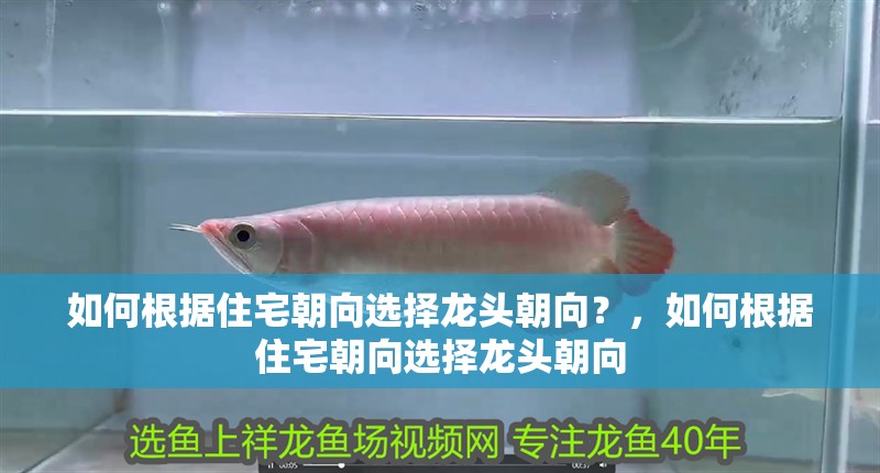 如何根據(jù)住宅朝向選擇龍頭朝向？，如何根據(jù)住宅朝向選擇龍頭朝向