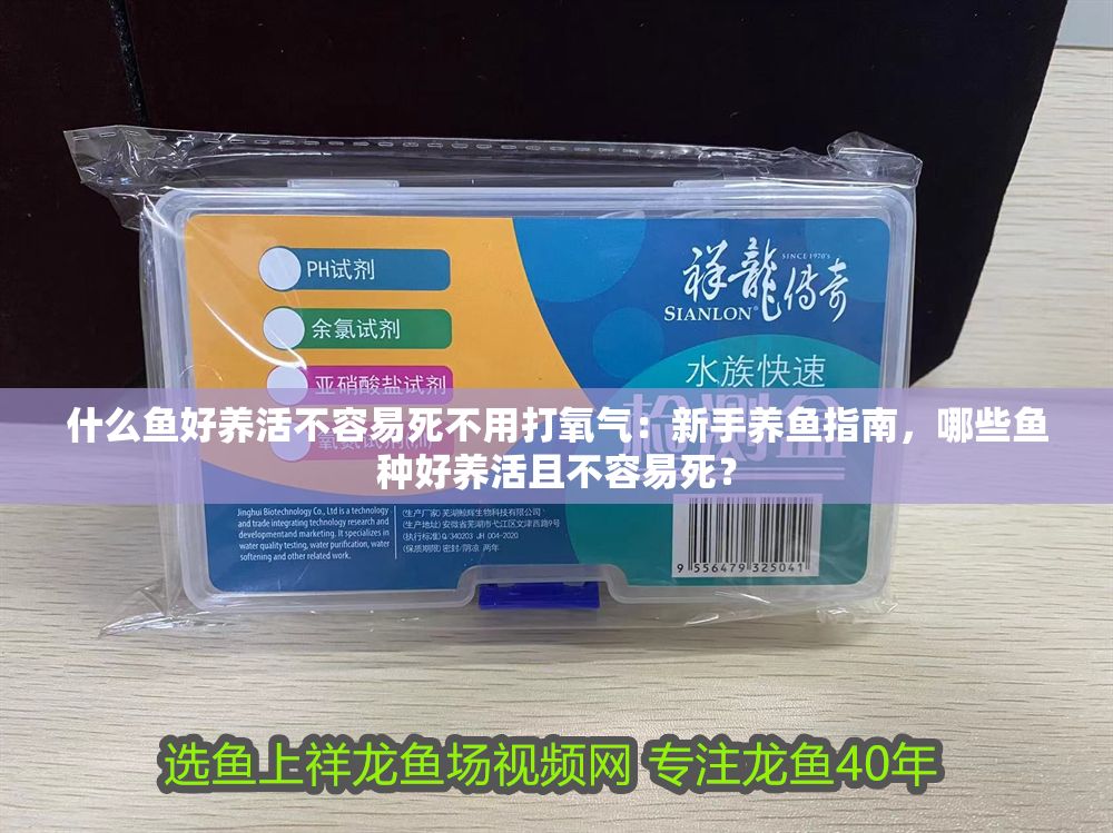 什么魚好養活不容易死不用打氧氣：新手養魚指南，哪些魚種好養活且不容易死？