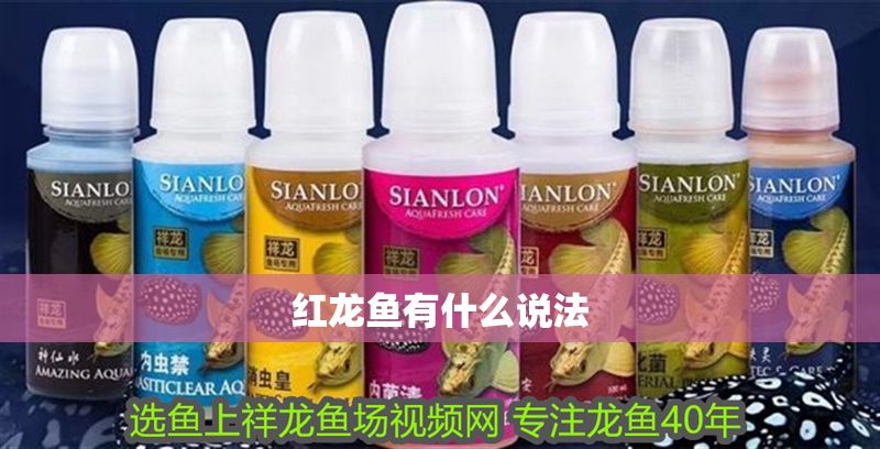 紅龍魚有什么說法