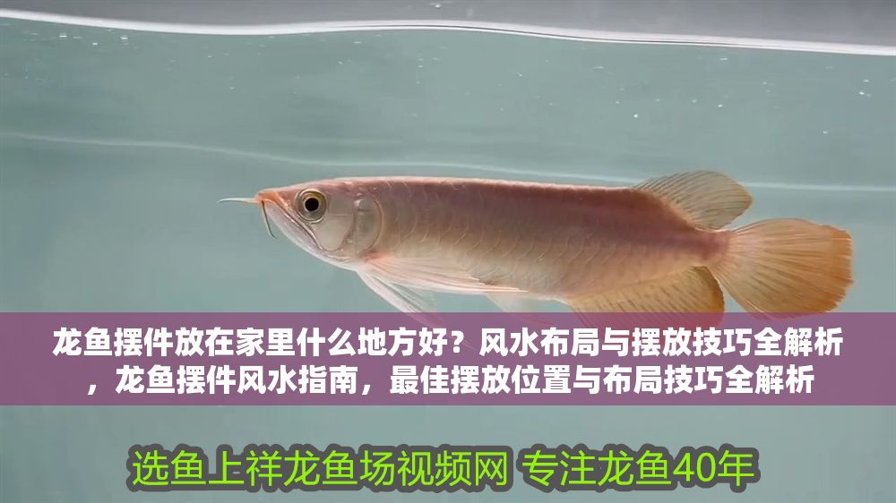 龍魚擺件放在家里什么地方好？風水布局與擺放技巧全解析，龍魚擺件風水指南，最佳擺放位置與布局技巧全解析