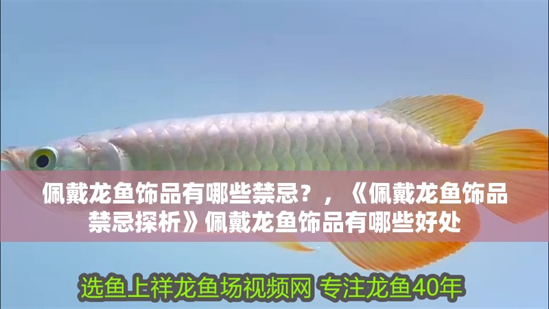 佩戴龍魚飾品有哪些禁忌？，《佩戴龍魚飾品禁忌探析》佩戴龍魚飾品有哪些好處
