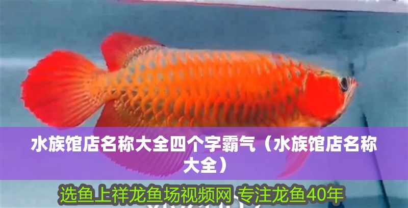 水族館店名稱大全四個字霸氣（水族館店名稱大全）