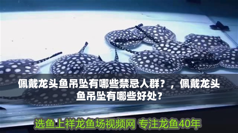 佩戴龍頭魚吊墜有哪些禁忌人群？，佩戴龍頭魚吊墜有哪些好處？ 佩戴龍頭魚吊墜有哪些禁忌人群？，佩戴龍頭魚吊墜有哪些好處？ 龍魚論壇